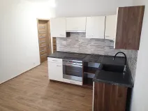 Pronájem bytu 1+1, Hlinsko, Družstevní, 46 m2