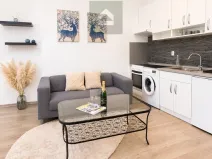 Pronájem bytu 2+kk, Plzeň, Guldenerova, 43 m2