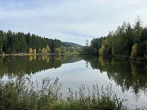 Prodej louky, Kamberk, 3653 m2