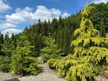 Prodej rodinného domu, Vojkov, 171 m2