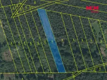 Prodej lesa, Slabčice - Písecká Smoleč, 48910 m2