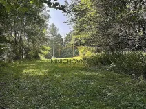 Prodej sadu/vinice, Ondřejov, Břeský vrch, 3453 m2