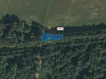 Dražba lesa, Nová Bystřice, 260 m2