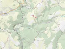 Dražba lesa, Zlatá Olešnice, 2620 m2