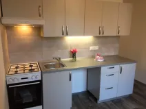 Pronájem bytu 1+1, Ostrava - Mariánské Hory, Hudební, 41 m2
