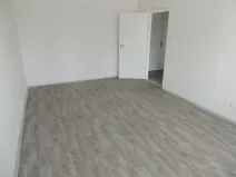 Pronájem bytu 1+1, Ostrava - Hrabůvka, U Haldy, 39 m2