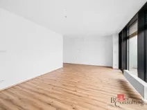Pronájem bytu 2+kk, Plzeň - Jižní Předměstí, Železná, 62 m2