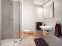Pronájem bytu 1+1, Frýdek-Místek - Frýdek, K Hájku, 38 m2