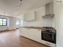Pronájem bytu 3+kk, Osek, Tovární, 48 m2