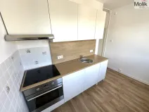 Pronájem bytu 2+1, Duchcov, Družby, 52 m2