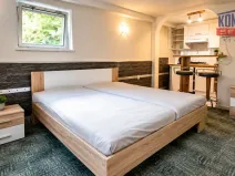 Pronájem bytu 1+kk, České Budějovice - České Budějovice 3, Pekárenská, 30 m2