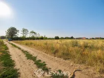 Prodej zahrady, Dyjákovice, 3930 m2
