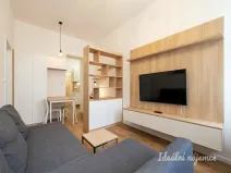 Prodej bytu 2+kk, Praha - Žižkov, Prokopova, 41 m2