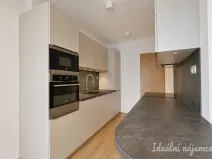 Pronájem bytu 3+kk, Brno, Kopečná, 104 m2