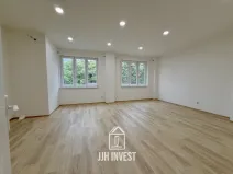 Pronájem obchodního prostoru, Plzeň - Východní Předměstí, Pařížská, 150 m2