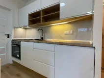 Prodej bytu 2+1, Bílina, Litoměřická, 41 m2