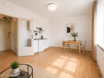 Pronájem bytu 1+kk, Praha - Nové Město, Biskupský dvůr, 26 m2