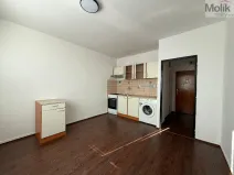 Pronájem bytu 1+1, Litvínov - Horní Litvínov, Mostecká, 35 m2
