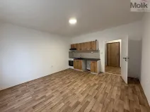 Pronájem bytu 2+kk, Ústí nad Labem - Severní Terasa, Šrámkova, 40 m2