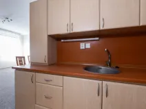 Pronájem bytu 1+kk, Teplice - Trnovany, Masarykova třída, 33 m2