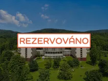 Prodej bytu 2+kk, Litvínov - Horní Litvínov, Koldům, 53 m2