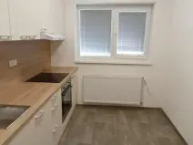 Pronájem bytu 1+1, Česká Lípa, Pražská, 46 m2