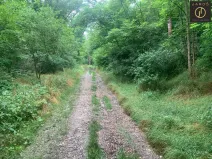 Prodej pozemku, Brodec, 27235 m2