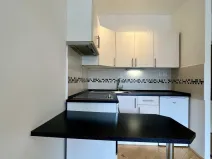 Pronájem bytu 1+kk, Ostrava - Slezská Ostrava, Bohumínská, 27 m2