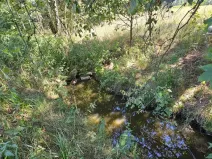 Prodej pozemku pro bydlení, Nová Cerekev - Chmelná, 955 m2