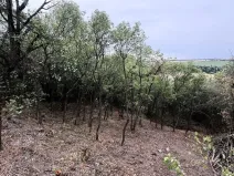 Prodej zahrady, Brandýsek, 464 m2