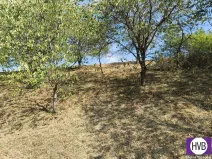 Prodej sadu/vinice, Synkov-Slemeno, 1229 m2