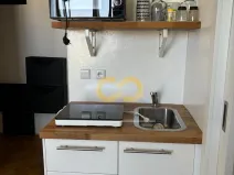 Pronájem bytu 1+kk, Praha, Přemyslovská, 26 m2