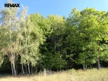 Prodej lesa, Hlavňovice, 28701 m2