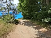 Prodej lesa, Hlavňovice, 5194 m2