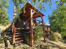 Prodej chaty, Moravská Třebová - Boršov, 50 m2