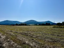 Prodej pozemku pro bydlení, Kozlovice, 4354 m2