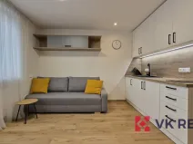 Pronájem bytu 1+kk, Plzeň - Jižní Předměstí, Raisova, 27 m2