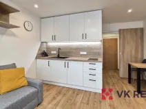 Pronájem bytu 1+kk, Plzeň - Jižní Předměstí, Raisova, 27 m2