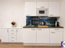Prodej bytu 2+kk, Praha, Petrská, 42 m2
