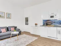 Prodej bytu 2+kk, Praha, Petrská, 42 m2