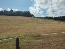 Prodej pozemku, Hořice na Šumavě - Mýto, 2722 m2