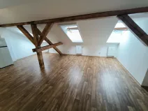Pronájem bytu 1+kk, Ústí nad Labem, Londýnská, 52 m2