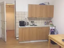 Pronájem bytu 1+kk, Praha - Podolí, Na dolinách, 30 m2