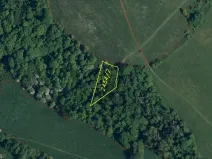 Dražba louky, Mírová pod Kozákovem, 1000 m2