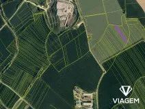 Prodej podílu pole, Zdounky, 550 m2