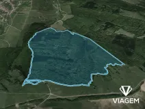 Prodej podílu lesa, Korytná, 46570 m2