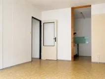 Prodej bytu 2+kk, Čáslav, R. Těsnohlídka, 43 m2