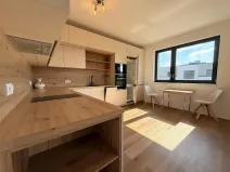 Pronájem bytu 2+kk, Mladá Boleslav, Vondřichova, 67 m2