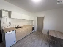 Pronájem bytu 1+1, Peruc, V Edenu, 44 m2