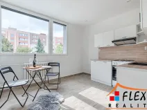 Pronájem bytu 1+1, Frýdek-Místek - Frýdek, K Hájku, 36 m2